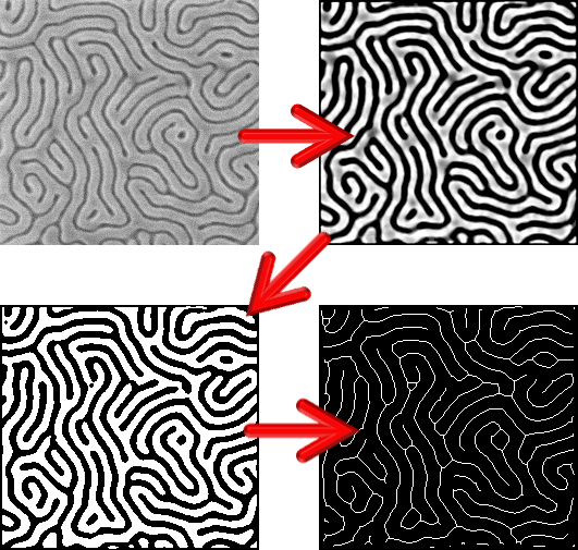 block copolymer image progression from grayscale to skeleton